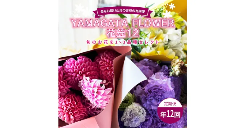 【ふるさと納税】 毎月お届け山形のお花の定期便 YAMAGATA FLOWER 花笠12 F2Y-3727