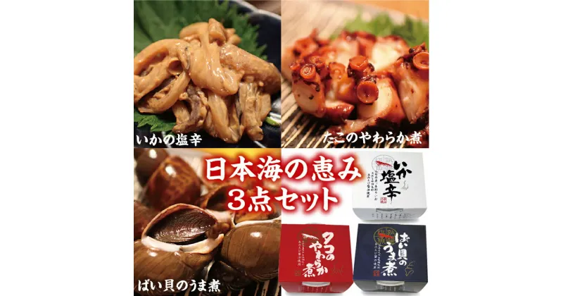 【ふるさと納税】「日本海の恵み3点セット」いか塩辛・タコのやわらか煮・ばい貝のうま煮 F2Y-3797