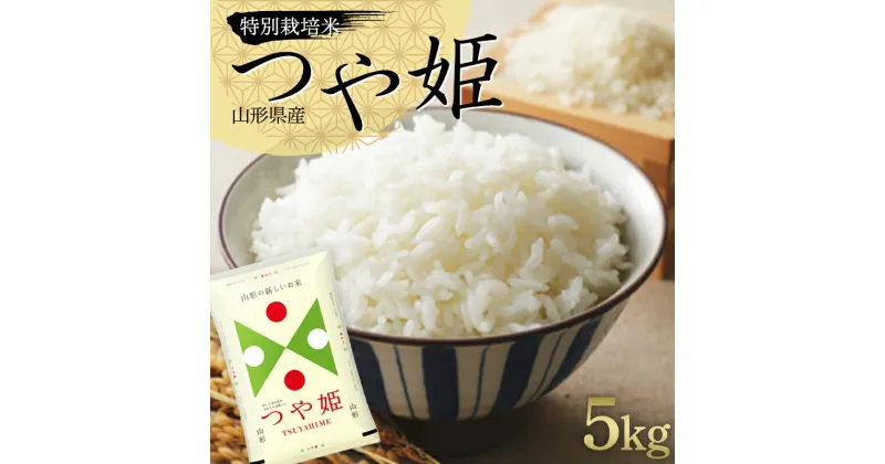 【ふるさと納税】令和6年度産 特別栽培米 つや姫 5kg 山形県産 米 お米 ブランド米 銘柄米 備蓄 日本米 コメ ごはん ご飯 食品 山形県 F2Y-4074