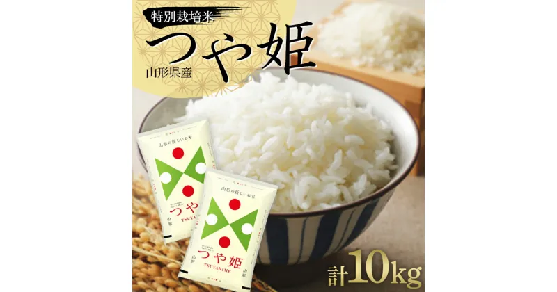 【ふるさと納税】令和6年度産 特別栽培米つや姫 10kg（5kg×2袋） 山形県産 つや姫 米 お米 ブランド米 銘柄米 備蓄 日本米 コメ ごはん ご飯 食品 山形県 F2Y-4075