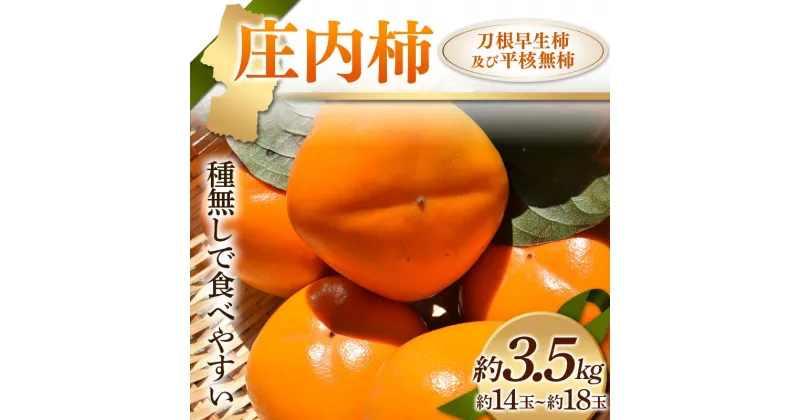 【ふるさと納税】《先行予約 2024年度発送》庄内柿 種無しで食べやすい 刀根早生柿及び平核無柿 約3.5kg 約14〜18玉 柿 かき デザート フルーツ 果物 くだもの 果実 食品 山形県 FSY-1236