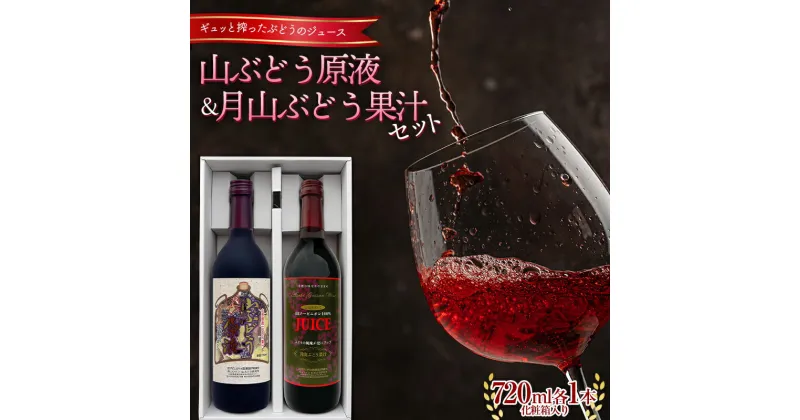 【ふるさと納税】 山ぶどう原液・月山ぶどう果汁セット （720ml 各1本） 化粧箱入り F2Y-5572