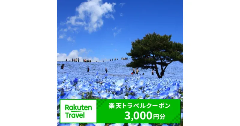 【ふるさと納税】茨城県内の対象施設で使える楽天トラベルクーポン 寄付額10,000円 （クーポン3,000円）【旅行 トラベル 旅行券 宿泊券 予約 チケット ホテル 観光 楽天限定】