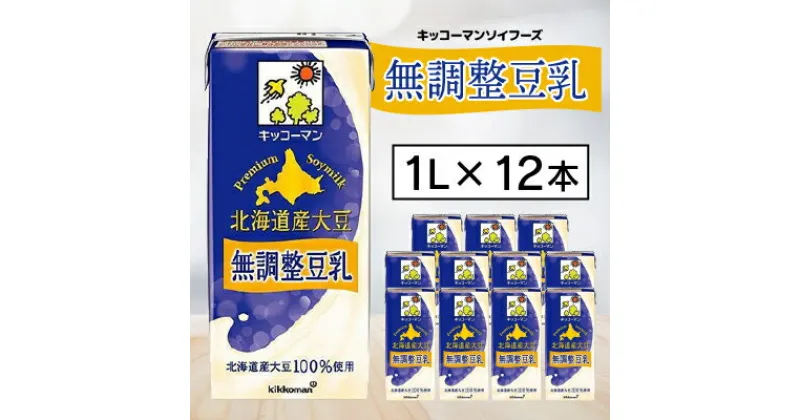 【ふるさと納税】キッコーマンソイフーズ　北海道産大豆 無調整豆乳 1L×12本【配送不可地域：離島・沖縄県】【1389467】