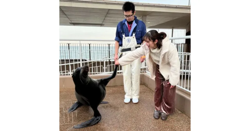 【ふるさと納税】アクアワールド茨城県大洗水族館　飼育員体験ツアー【配送不可地域：離島・沖縄県】【1486314】