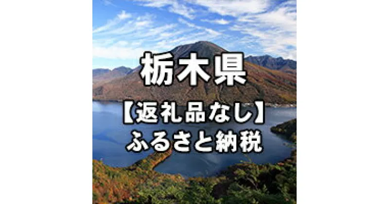 【ふるさと納税】栃木県への寄付（返礼品はありません）