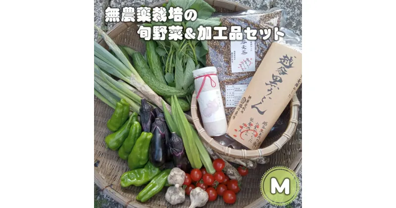 【ふるさと納税】No.053 無農薬栽培の旬野菜＆加工品セット　M ／ やさい 安全 安心 オーガニック野菜 詰合せ 送料無料 埼玉県