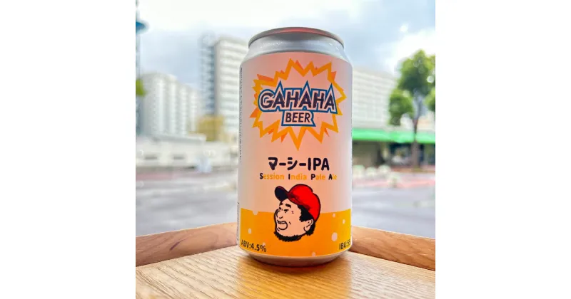 【ふるさと納税】ガハハビール　マーシーIPA6本セット