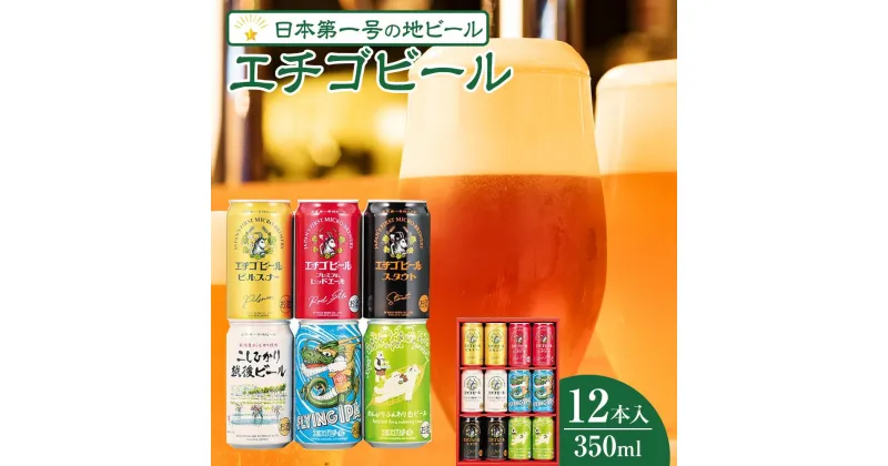 【ふるさと納税】エチゴビール　350ml×12本入り｜新潟　新潟県　地ビール　ご当地　ビール　エール　越後ビール　エチゴビール