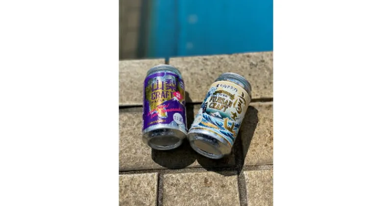 【ふるさと納税】【THE YAMANASHI BEER】富士山クラフト&山梨クラフト　6本セット【配送不可地域：離島】【1237726】