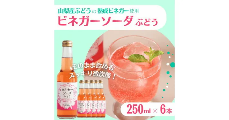 【ふるさと納税】山梨産ぶどう100%の熟成ビネガーで造った!そのまま飲める【ビネガーソーダぶどう6本セット】【配送不可地域：離島】【1537854】