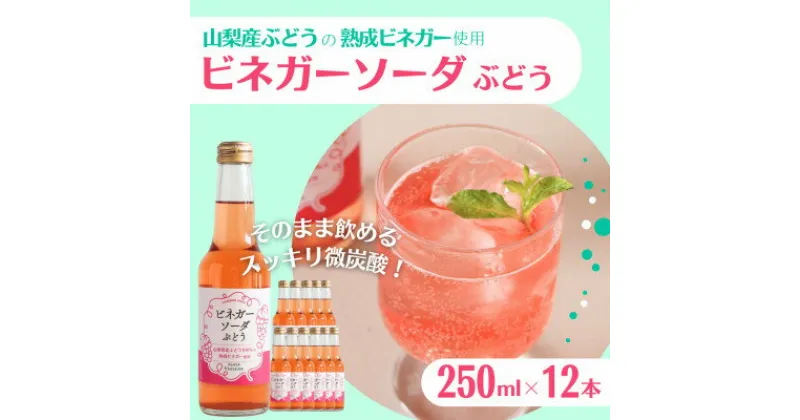 【ふるさと納税】山梨産ぶどう100%の熟成ビネガーで造った!そのまま飲める【ビネガーソーダぶどう12本セット】【配送不可地域：離島】【1537862】