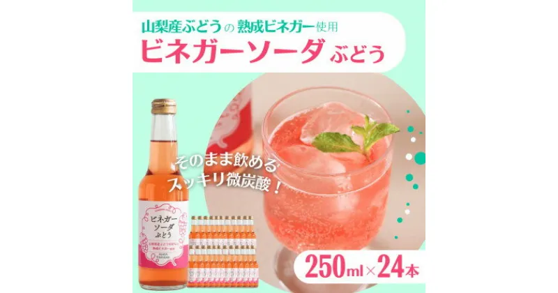 【ふるさと納税】山梨産ぶどう100%の熟成ビネガーで造った!そのまま飲める【ビネガーソーダぶどう24本セット】【配送不可地域：離島】【1537865】