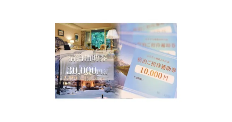 【ふるさと納税】白馬村　宿泊補助券30,000円分(10,000円分×3枚)【1461147】