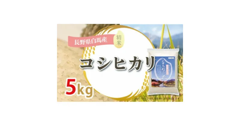 【ふるさと納税】【令和6年産新米】白馬産コシヒカリ5kg_ 米 こめ コメ ミルキークイーン 国産 おこめ お米 白米 精白米 精米 銘柄 白米 産地直送 贈答 ギフト 白馬産 もっちり 人気 品種 備蓄 【1490125】