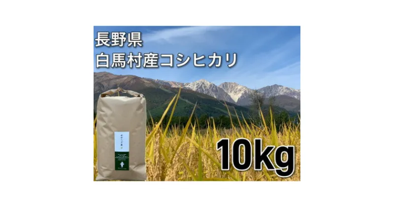 【ふるさと納税】白馬産コシヒカリ白米10kg【1484001】