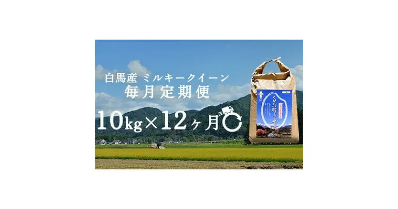 【ふるさと納税】【毎月定期便】長野県白馬村産ミルキークイーン10kg全12回【4057902】