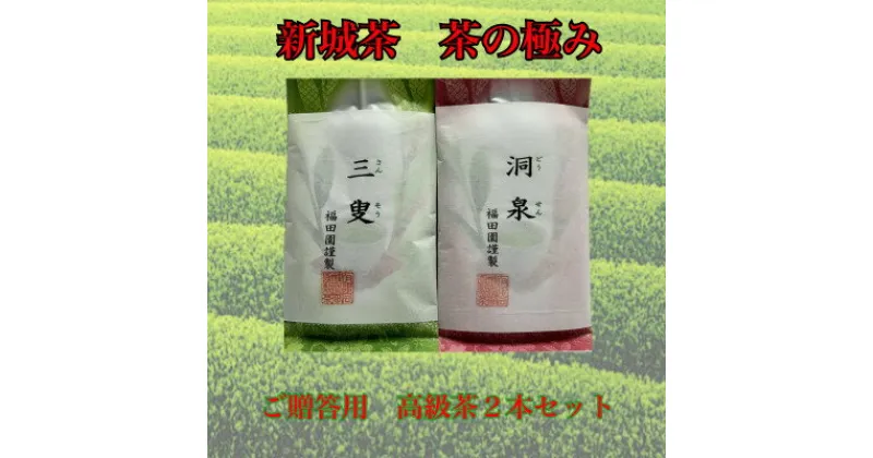 【ふるさと納税】福田園茶の極み　(三叟100g、洞泉100g)【1501835】