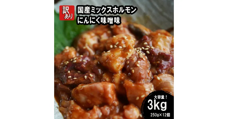 【ふるさと納税】 【 訳あり 】 国産牛 ミックスホルモン 3kg (250g×12) にんにく 味噌味 ミックス ホルモン 焼き 焼肉 味付 小分け 冷凍 味噌だれ 不揃い おつまみ 国産 牛 肉