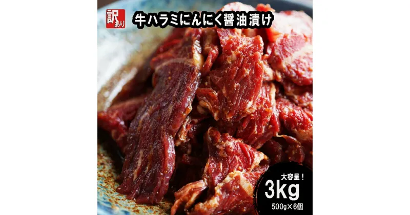 【ふるさと納税】 【 訳あり 】 牛ハラミ にんにく醤油漬け 3kg (500g×6) 牛肉 牛 肉 ビーフ ハラミ 味付 にんにく ガーリック 冷凍 小分け 真空パック 簡単 カット 焼肉 焼き肉 熨斗 贈答 お歳暮 お中元 便利 キャンプ おかず ふるさと納税肉 京都 舞鶴 幸福亭