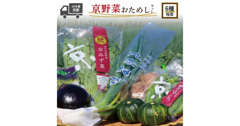 【ふるさと納税】 京野菜 おためし セット 6種 程度 野菜 詰め合わせ 京都 季節 旬 京野菜 栄養食 九条ネギ 万願寺 賀茂なす 京都府産 数量限定 冷蔵 サラダ 健康 お試し 9000円