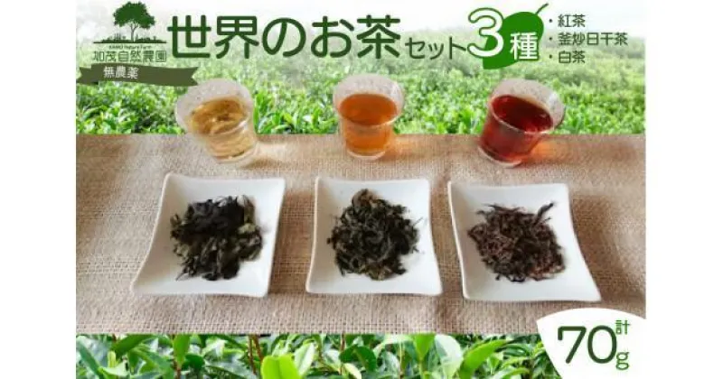 【ふるさと納税】 お茶セット 3種 計70g 紅茶 釜炒日干茶 白茶 茶葉 茶 世界の お茶 飲み比べ 詰め合せ 品種茶 無農薬 自然栽培 有機 ギフト 贈答 京都 木津川 加茂自然農園 1万円 10000円