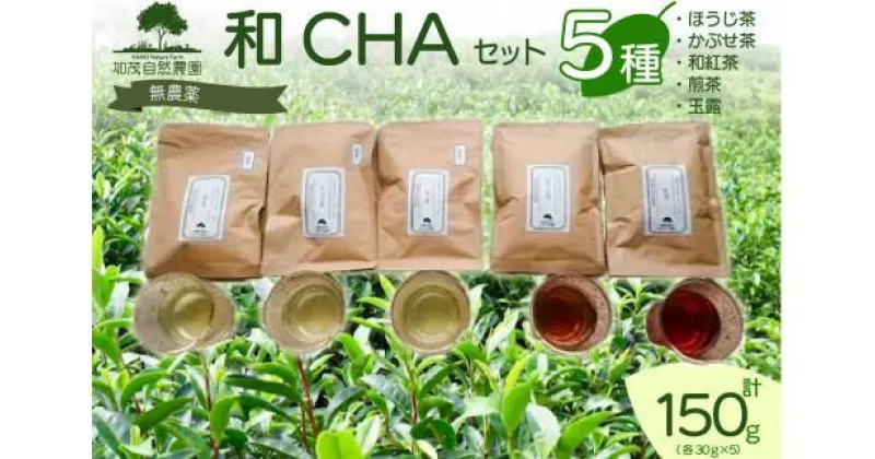 【ふるさと納税】 和CHA セット 5種類 計 150g ほうじ茶 かぶせ茶 ( 緑茶 ) 和紅茶 煎茶 玉露 茶葉 茶 京都 加茂自然農園