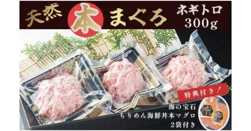 【ふるさと納税】 天然 本まぐろ ネギトロ セット 300g 海の宝石 ちりめん海鮮丼 本マグロ 2袋 まぐろ 鮪 海鮮 プロトン冷凍 冷凍 レシピ ちりめん 海鮮丼 魚介 魚 新鮮 人気 小分け ギフト プレゼント 贈答用 贈答 お歳暮 お中元 京都 舞鶴