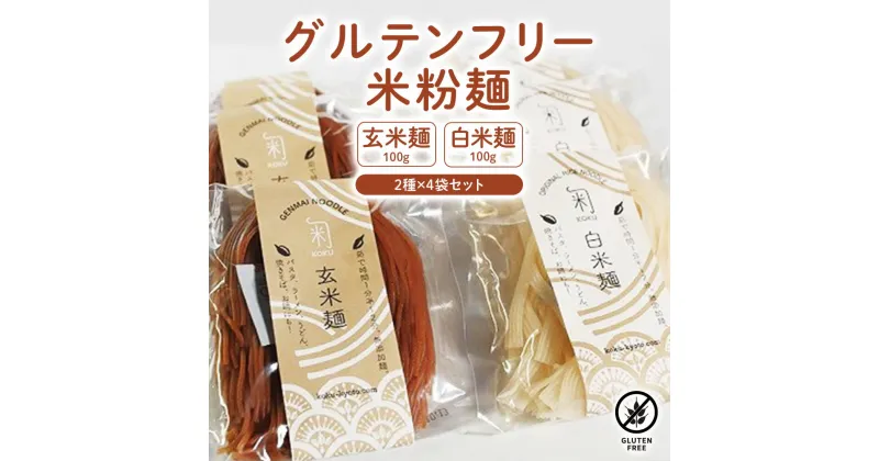 【ふるさと納税】 米麺 ラーメン 2種×4袋 ヘルシー 健康 食品 グルテンフリー 食べ比べ ギフト セット 中華 麺 冷麺 米粉 プレゼント 贈り物 贈答 低カロリー インスタント 京都 綾部