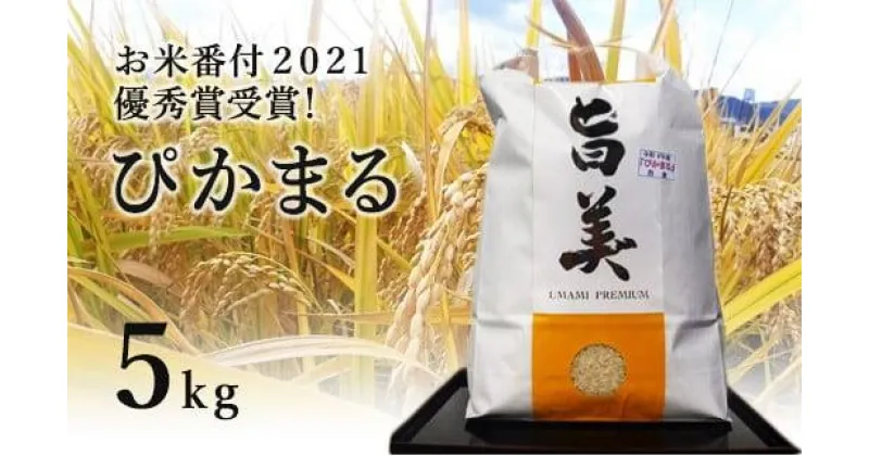 【ふるさと納税】 米 5kg 「 お米番付2021 」 優秀賞 受賞 お米 白米 精米 無農薬 有機栽培 有機 5キロ 京都 向日市 ぴかまる 五十棲