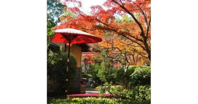 【ふるさと納税】 市立松花堂庭園・美術館のペアチケット ( 松花堂 観光 体験 チケット 券 庭園 美術館 展示 鑑賞 旅行 トラベル　利用券 )