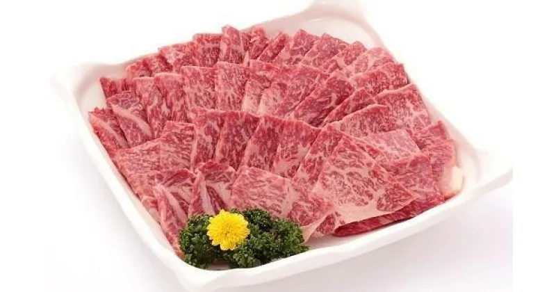 【ふるさと納税】 丹波牛 焼肉用3?4人前 （国産 和牛 黒毛和牛 牛肉 丹波牛 焼肉 焼肉用 500g 3-4人前 牛 赤身 冷凍 グルメ 贈答 ギフト お歳暮 お中元 アウトドア キャンプ バーベキュー BBQ お取り寄せ 京都 京丹波町 丹波高原 いづつ屋）