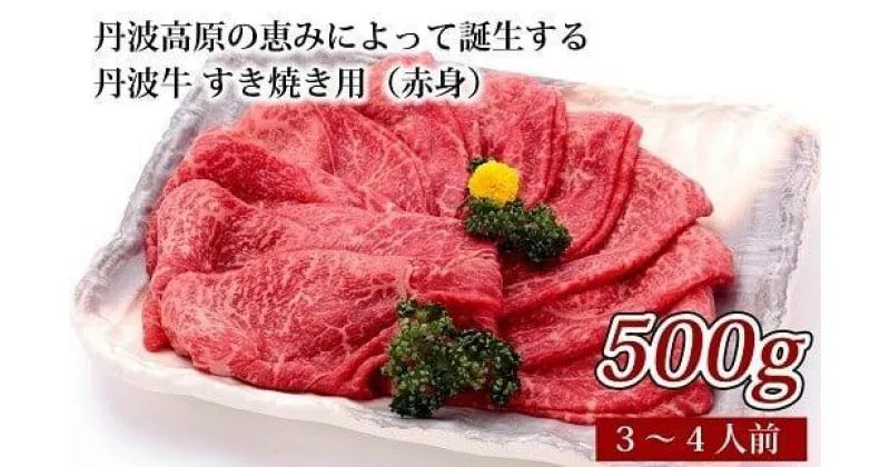 【ふるさと納税】 丹波牛 すき焼き用（赤身）（国産 和牛 黒毛和牛 牛肉 丹波牛 すき焼き すき焼き用 500g 3-4人前 牛 赤身 すきやき肉 冷凍 贈答 ギフト プレゼント お歳暮 お中元 割り下 京都 丹波高原 いづつ屋 すき焼き ）