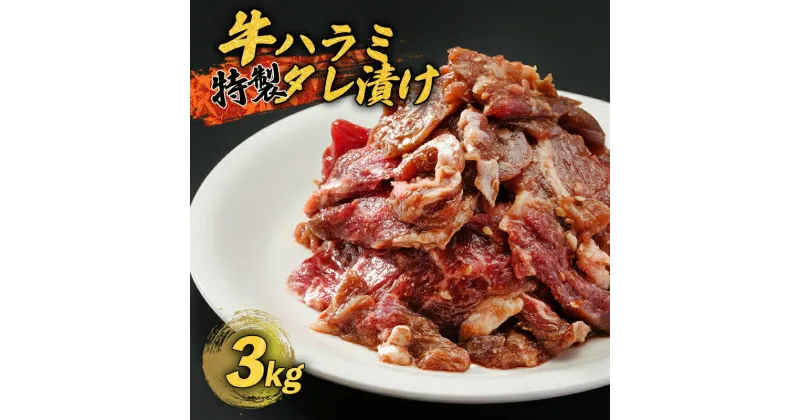 【ふるさと納税】 牛ハラミ 特製 タレ漬け 3kg 牛肉 牛 ハラミ 肉 味付 焼肉 焼き肉 冷凍 小分け 真空パック 簡単 調理 料理 カット 大人数用 熨斗 贈答 ギフト