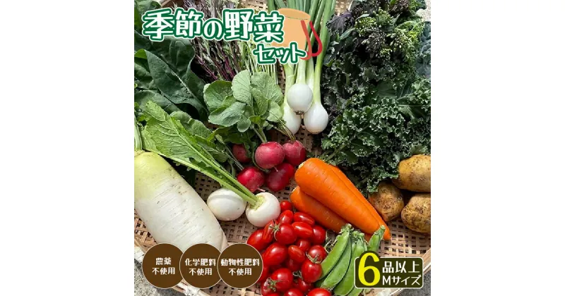 【ふるさと納税】 【発送時期限定】 京都府綾部市の季節 野菜セット M（3-4名様分）農薬不使用 無農薬 新鮮 野菜 セット 詰め合わせ 京都 綾部 農家直送 産地直送 旬 旬野菜 人気 おすすめ リピーター 京都 綾部 BBQ バーベキュー 健康 健康食品 緑黄色野菜 美肌 美容