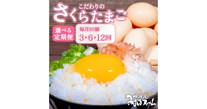 【ふるさと納税】 定期便 京都 こだわり卵 さくらたまご 毎月30個 (割れ保証4個含む) 3回 6回 12回 （卵 定期便 純国産 国産 さくら 大人気 玉子焼き 卵焼き 卵かけご飯 ゆで卵 すき焼き 鶏 鶏卵 卵黄 玉子スープ 玉子焼き 生卵 まとめ買い 京都 京丹波町 ふるさと納税）