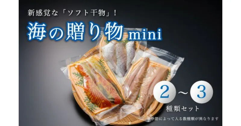 【ふるさと納税】 海の贈り物 mini 干物 盛り合わせ 季節の干物 2～3種類