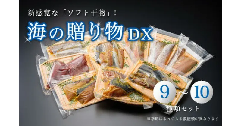 【ふるさと納税】 海の贈り物DX 干物 盛り合わせ 豪華版 季節の干物 9～10種類