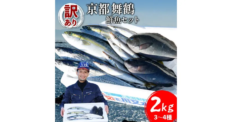 【ふるさと納税】 訳あり 京都舞鶴 鮮魚 詰め合わせセット 3～4種 約2kg 2キロ 旬の魚 季節の魚 旬 セット 詰め合わせ おまかせ 厳選 朝獲れ 鮮度抜群 新鮮 冷蔵 まるごと 丸ごと お刺身 刺身 煮付け あじ サバ ススキ 鯵 鯖 鰯 鯛 カマス いわし 京都 舞鶴