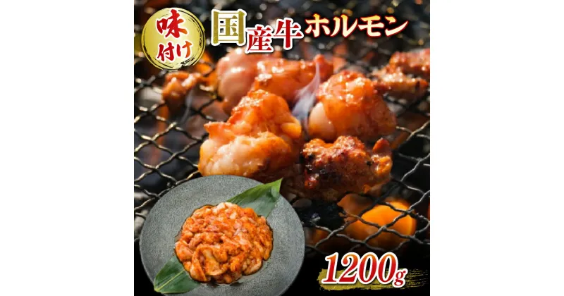 【ふるさと納税】 国産牛 ホルモン ホソ 味付け 1200g いづつ屋 ( 焼肉 BBQ 国産 牛肉 ホソ 牛 肉 特製 タレ漬け ホルモン焼き もつ 小分け 冷凍 送料無料 京都 )