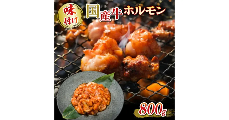 【ふるさと納税】 国産牛 ホルモン ホソ 味付け 800g いづつ屋 ( 焼肉 BBQ 国産 牛肉 ホソ 牛 肉 特製 タレ漬け ホルモン焼き もつ 小分け 冷凍 送料無料 京都 )