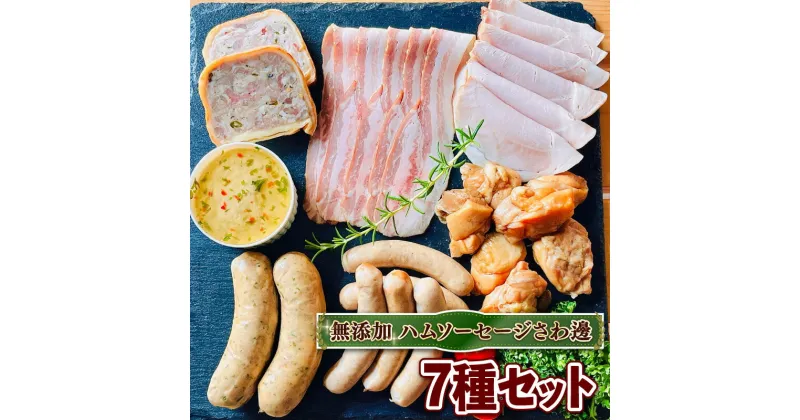 【ふるさと納税】 無添加 ウインナー ハム ベーコン 詰め合わせ 7種 セット ( 京都 産 豚 肉 京丹波 高原豚 あらびき ハーブ ベーコン スライス ロース レバー ペースト テリーヌ スモーク チキン パイ 包み BBQ バーベキュー 国産 鶏 宇治 無添加 ハム ソーセージ さわ邊)