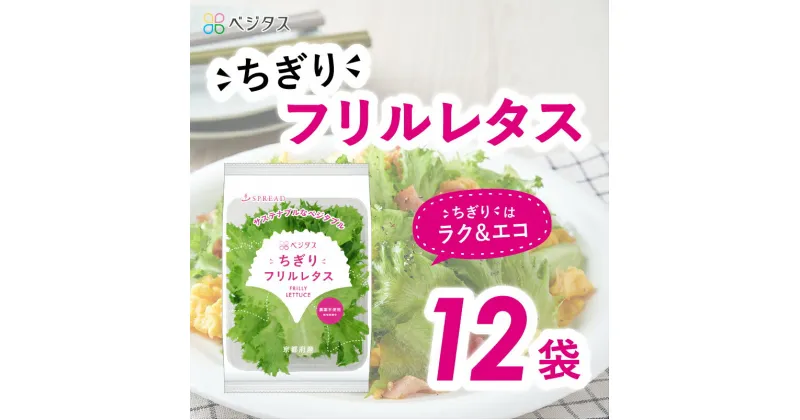 【ふるさと納税】 ベジタス ちぎり フリルレタス 12袋入 詰め合わせ 水耕栽培 5000円 五千円 レタス サラダ 新鮮 緑黄色 やさい 野菜 葉野菜 弁当 料理 京都 生野菜 サンドイッチ お弁当 簡単調理 時短 ダイエット ヘルシー スーパー 全国 人気