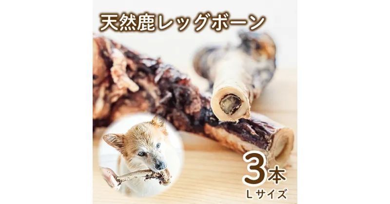 【ふるさと納税】 愛犬用 天然鹿 レッグボーン 3本 セット ( 鹿肉 ジャーキー おやつ おもちゃ ペット ドッグフード ペットフード 餌 エサ 犬 鹿 肉 国産 健康 ジビエ 愛犬 国産 無添加 犬用 京都 笠置町 RE-SOCIAL )