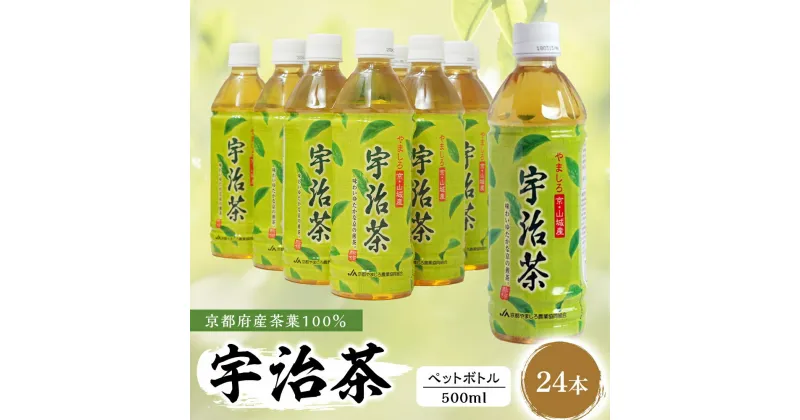 【ふるさと納税】 【宇治茶】京都産 宇治茶 ペットボトル 500 ml × 24本 （京都府産 京都産 お茶 茶 京都 宇治 宇治茶 宇治抹茶 緑茶 ペットボトル 500 24本 煎茶 かぶせ茶 宇治抹茶）