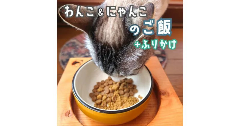 【ふるさと納税】 無添加 ワンコ と ニャンコ の ご飯 3袋 ( イワシ煮 豆乳鍋 ) と お魚 ふりかけ 1袋 ペットフード 安心 安全 犬 猫 ドッグフード キャットフード ペット用品 ヒューマングレード リッチフード いぬ ねこ 犬用 猫用 自然食材 魚 肉 野菜 やさい