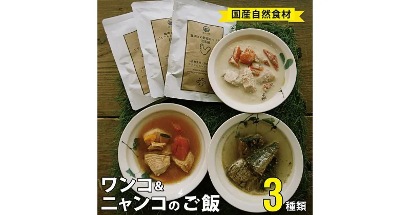 【ふるさと納税】 無添加 ペット フード ワンコ と ニャンコ の ご飯 3種類 4袋 (イワシ煮 豆乳鍋 トマトシチュー) 犬 猫 ドッグフード キャットフード 安心 安全 ペットフード ペット用品 ヒューマングレード リッチフード いぬ ねこ 犬用 猫用 自然食材 魚 肉 野菜 やさい