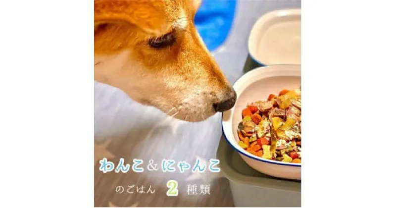 【ふるさと納税】 無添加 ペット フード ワンコ と ニャンコ の ご飯 2種類 (トマトシチュー・イワシ煮) 4袋 犬 猫 ドッグフード キャットフード 安心 安全 ペットフード ペット用品 ヒューマングレード リッチフード いぬ ねこ 犬用 猫用 自然食材 魚 肉 野菜 やさい