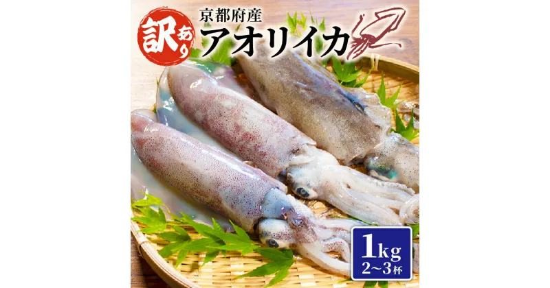 【ふるさと納税】 訳あり アオリイカ 約1kg 2~3杯 イカ 烏賊 冷凍 海鮮 地物 イカ刺身 さしみ 刺身 刺し身 刺身用 天ぷら 煮付け 塩焼き イカ丼 焼きイカ イカリング イカフライ イカ天 おつまみ 魚介類 魚介 魚 和食 まるごと 1万円 一万円 10000円 1キロ 舞鶴 京都