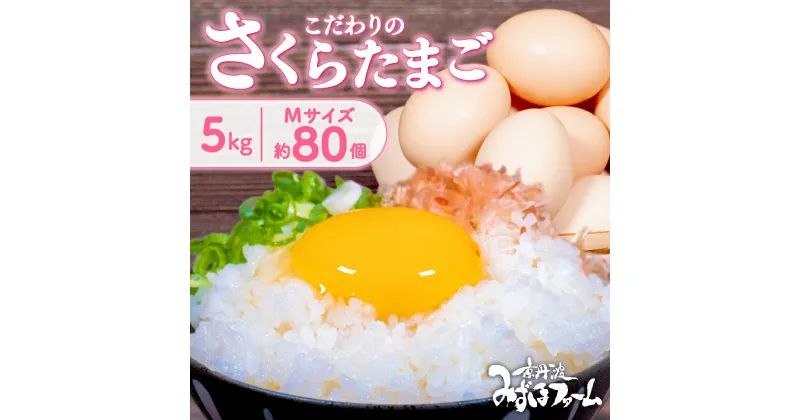 【ふるさと納税】 京都 こだわり卵 さくらたまご 約 80個 (割れ保証10個含む) 5kg M サイズ 卵 たまご 濃い 玉子 セット 玉子焼き 卵焼き 卵かけご飯 ゆで卵 鶏卵 卵黄 純国産 鶏 国産 玉子スープ 玉子サンド 玉子焼き 玉子丼 9000円 ふるさと納税 京都府 京丹波町